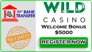 USA_Casino_Payment_Methods_Wild_Casino