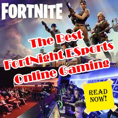 The Best FortNight ESports Online Gaming