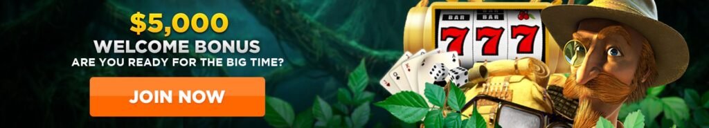 WildCasino The Best Video Poker Casino