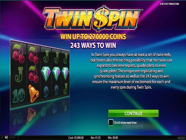 Twin Spin Slot - General Information